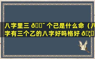 八字里三 🐯 个己是什么命（八字有三个乙的八字好吗格好 🦆 不好）